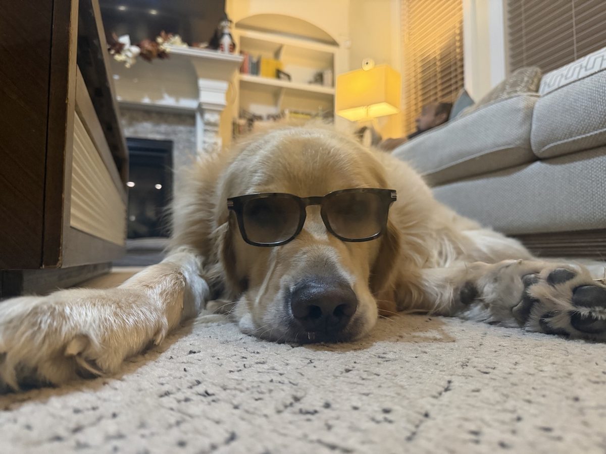 Momo wearing sunglasses, effortlessly cool